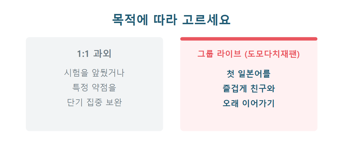 목적에 따라 1:1 과외와 그룹 라이브 수업을 고르는 기준 그래픽
