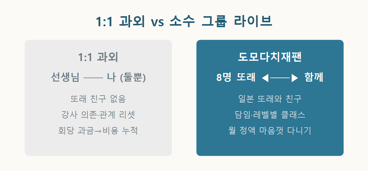 1:1 과외와 소수 그룹 라이브 수업의 차이 개념도