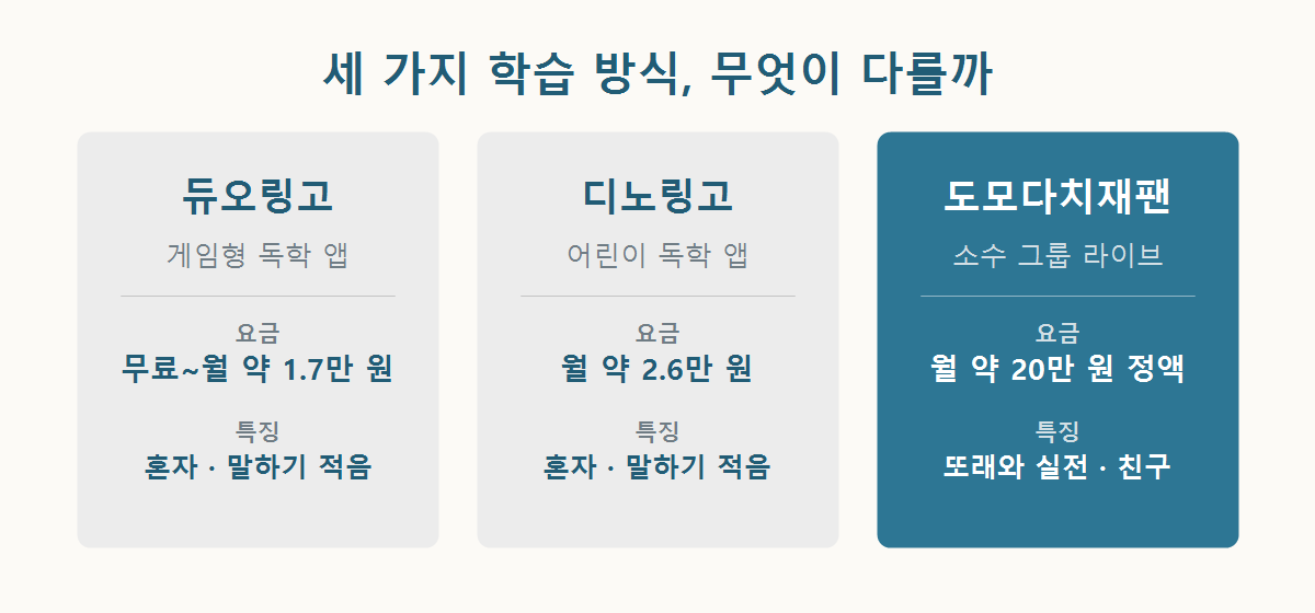 듀오링고·디노링고·도모다치재팬 세 가지 학습 방식을 카드로 비교한 그래픽