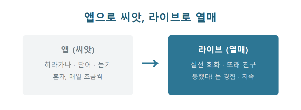 앱으로 씨앗을 뿌리고 라이브 수업으로 열매를 맺는 병행 학습 그래픽