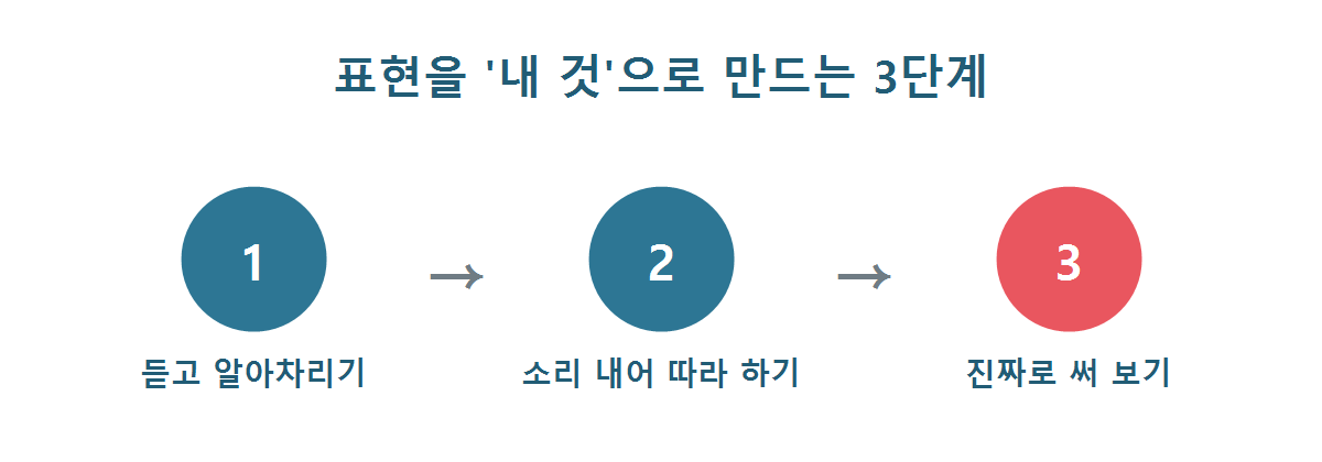 애니 표현을 듣기·따라 말하기·써 보기 3단계로 익히는 방법 그래픽