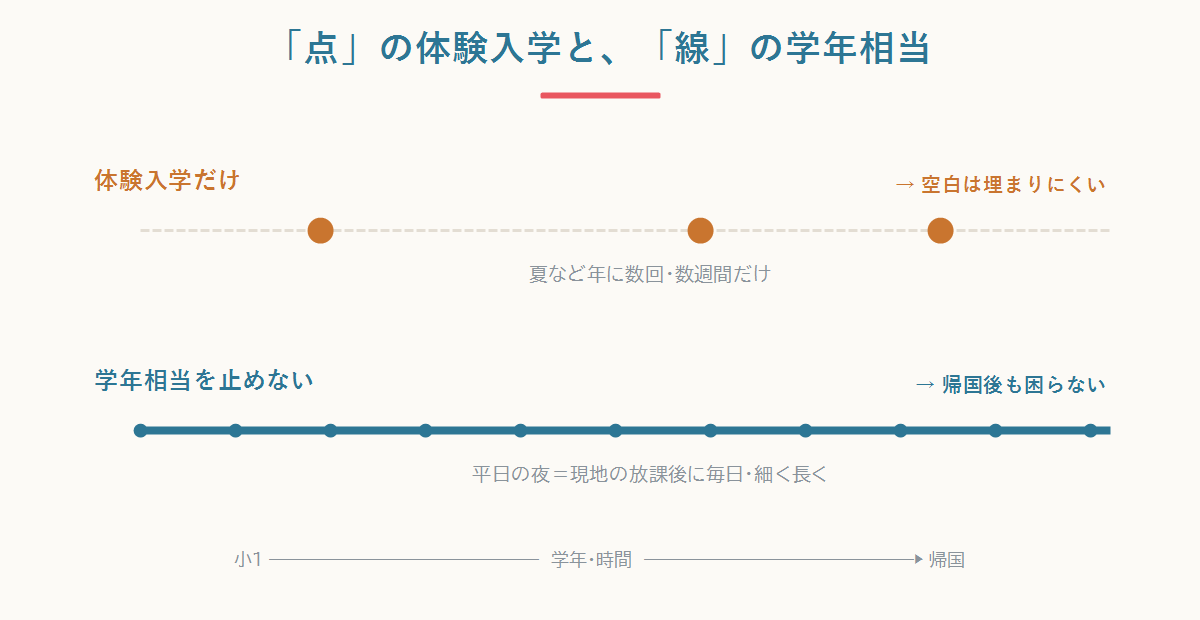 体験入学は年に数週間の点、学年相当の国語は毎日続く線。点だけでは帰国後の空白は埋まらないことを示す図