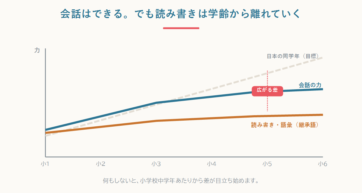 会話の力は伸びても、読み書き・語彙は学齢とともに日本の同学年から離れていくギャップを示す図