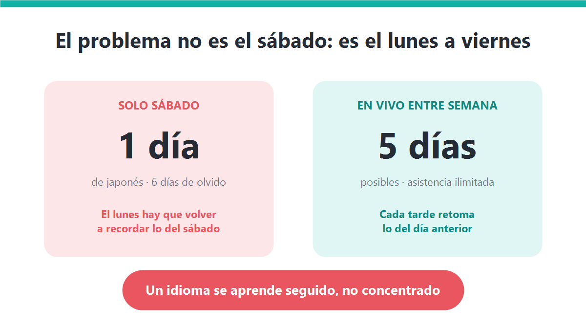 Comparación entre estudiar japonés solo el sábado y practicar en vivo entre semana con asistencia ilimitada