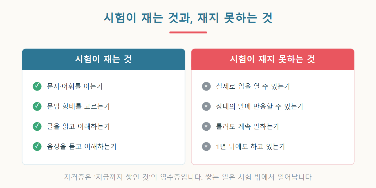 일본어 시험이 평가하는 영역과 평가하지 못하는 영역을 나눈 그래픽
