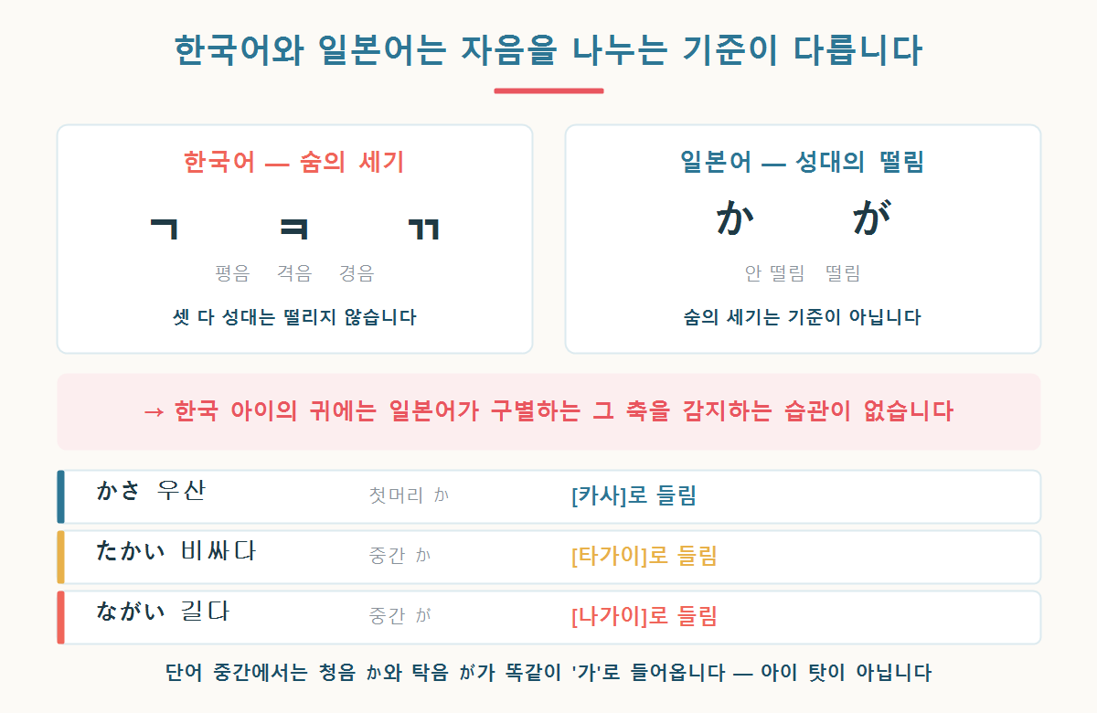 한국어의 평음·격음·경음 3계열과 일본어의 청음·탁음 2계열이 서로 어긋나는 구조를 설명한 그래픽